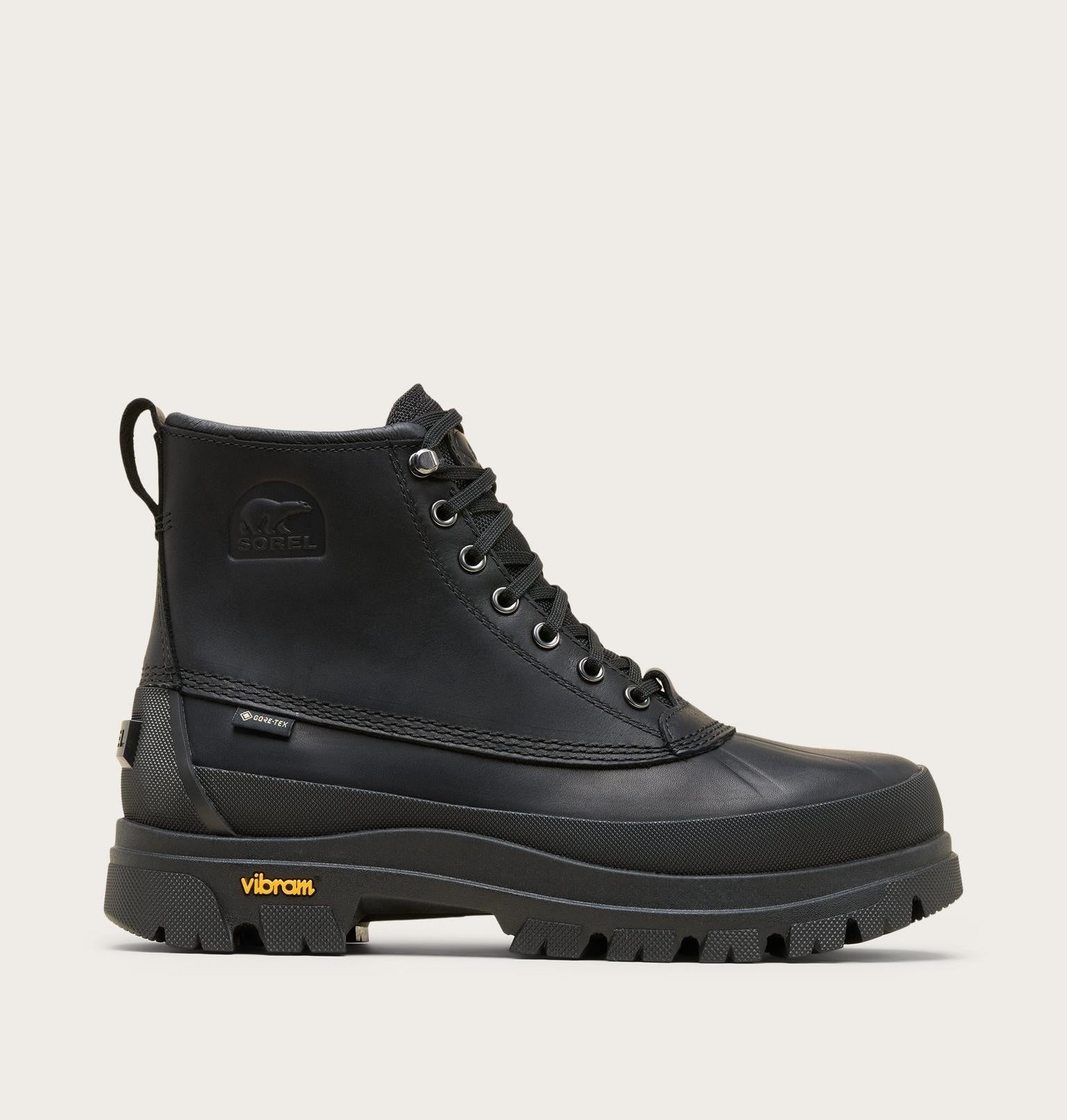 Daystorm Horizon™ GTX Men's Boot - Black, Black